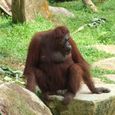 20070628_singapore_bintan_134